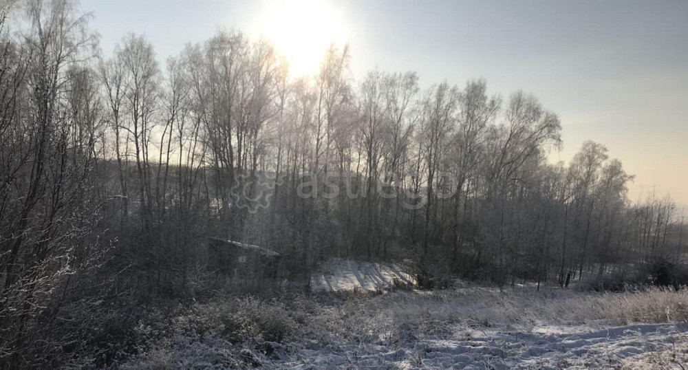 Земельный участок, 8 соток Красноярск - изображение 2