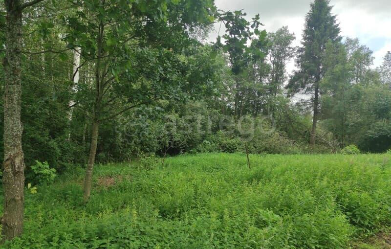 Земельный участок, 7 соток Волоколамск - изображение 2