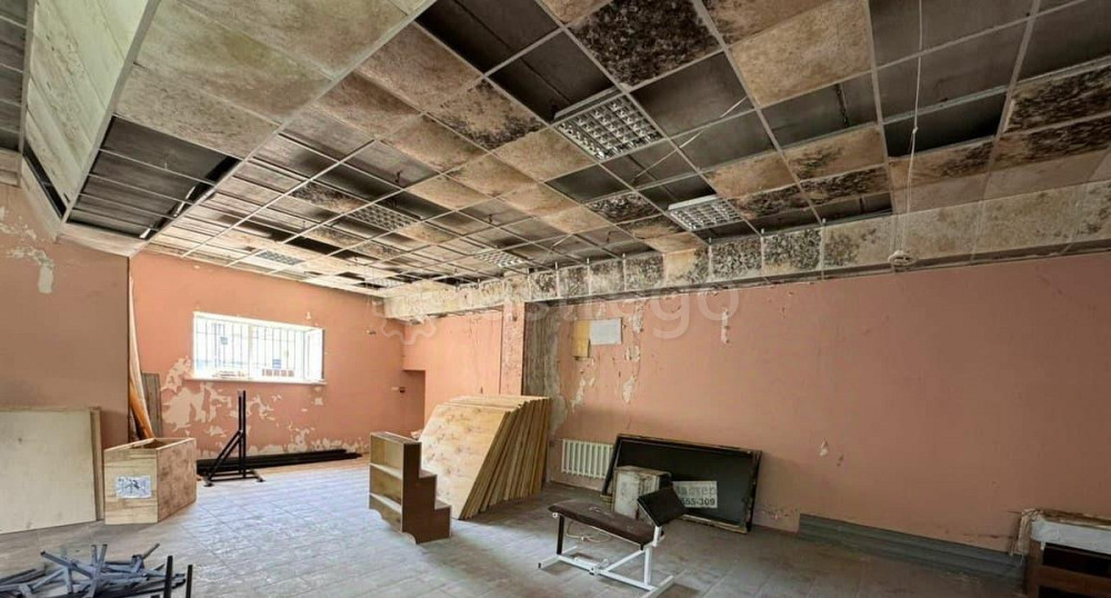 Свободного назначения, 106.4 м2 Барнаул - изображение 1