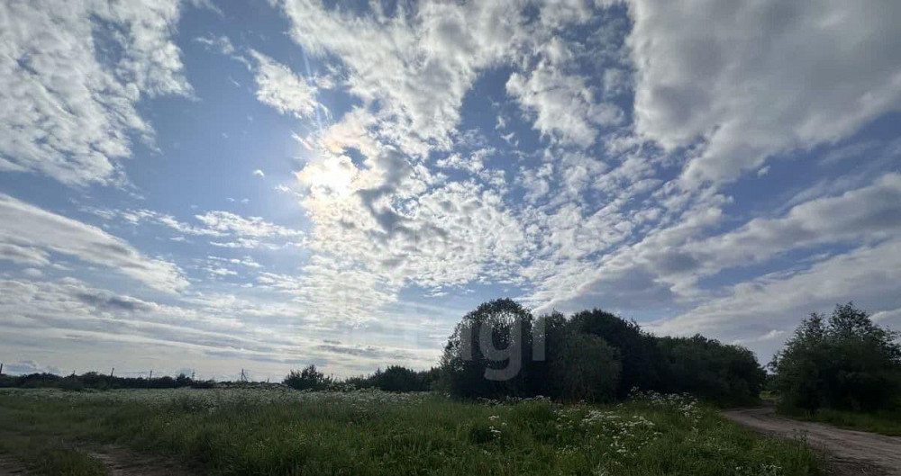 Земельный участок, 16.5 сотки Архангельск - изображение 3