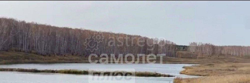 Коммерческий участок, 100 га Камень-на-Оби - изображение 1