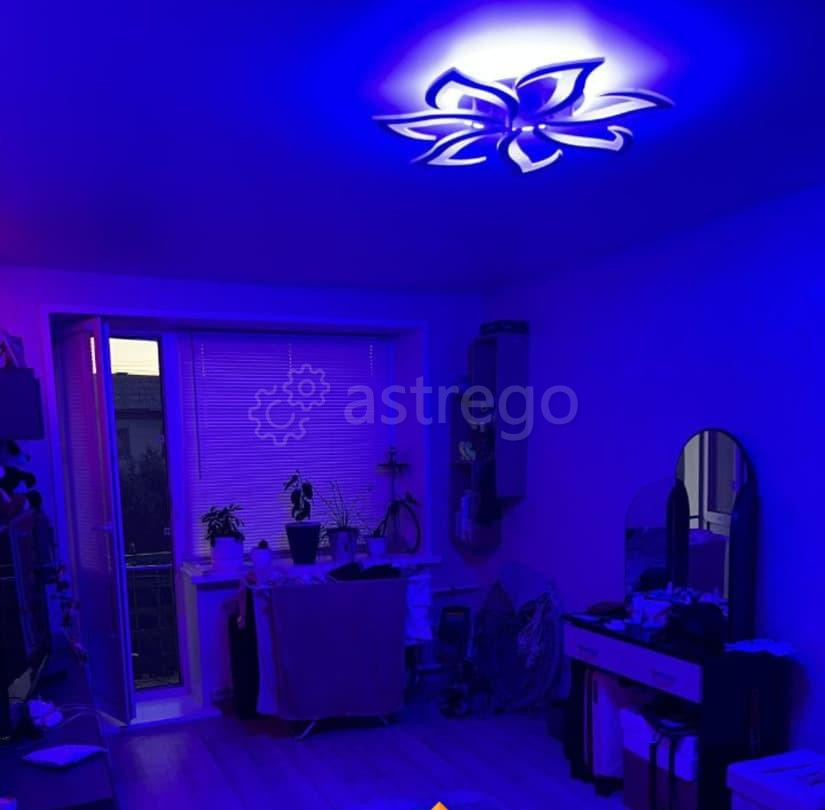 1-комн. квартира, 29 м2, 5/5 эт. Райчихинск - изображение 5