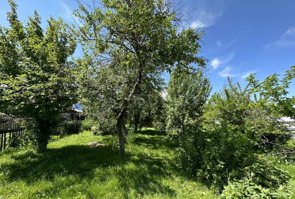 Дом, 41.6 м2, 15 соток, 1 эт. Шушенское - изображение 5