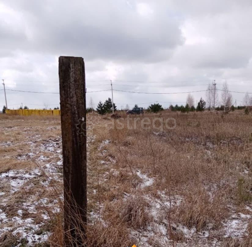 Земельный участок, 15 соток Березовка - изображение 2