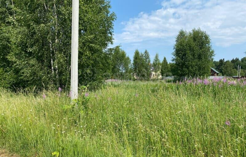 Земельный участок, 12 соток Можайск - изображение 1