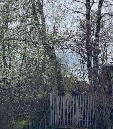 Дача, 20 м2 Красноярск