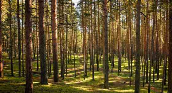 Земля под ИЖС, 8 соток Павловский Посад