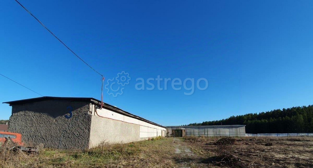 Производственное, 1000 м2 Емельяново - изображение 7