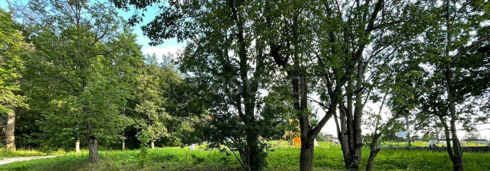 Земельный участок, 15 соток Санкт-Петербург - изображение 2