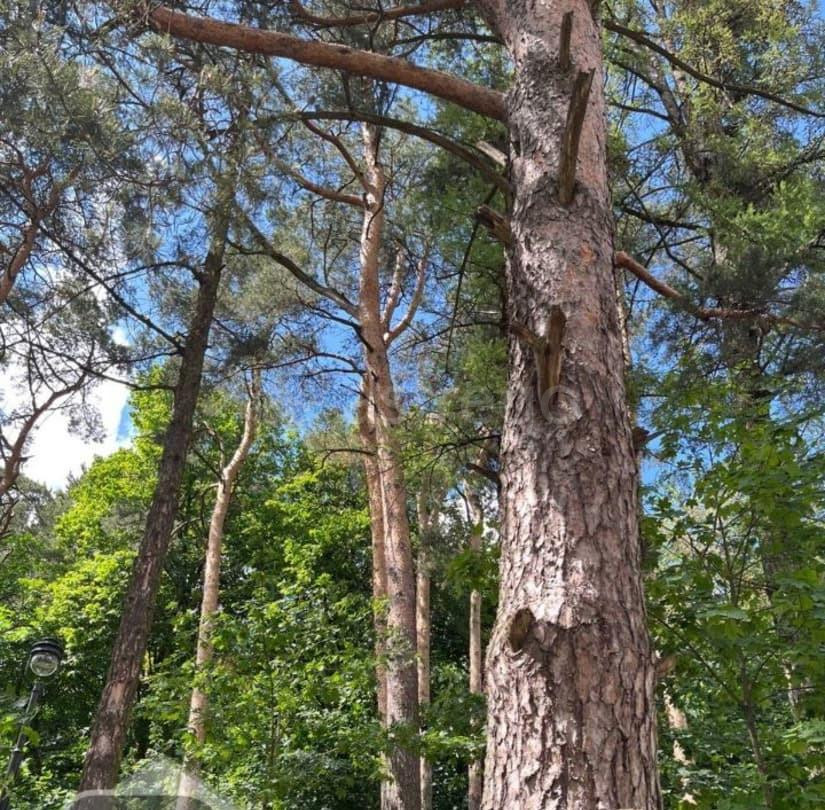 3-комн. квартира, 157 м2, 6/8 эт. Звенигород - изображение 4