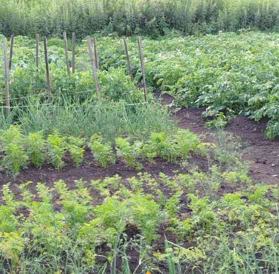 Дом, 65.6 м2, 10 соток, 1 эт. Балахта