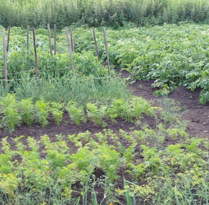 Дом, 65.6 м2, 10 соток, 1 эт. Балахта - изображение 4