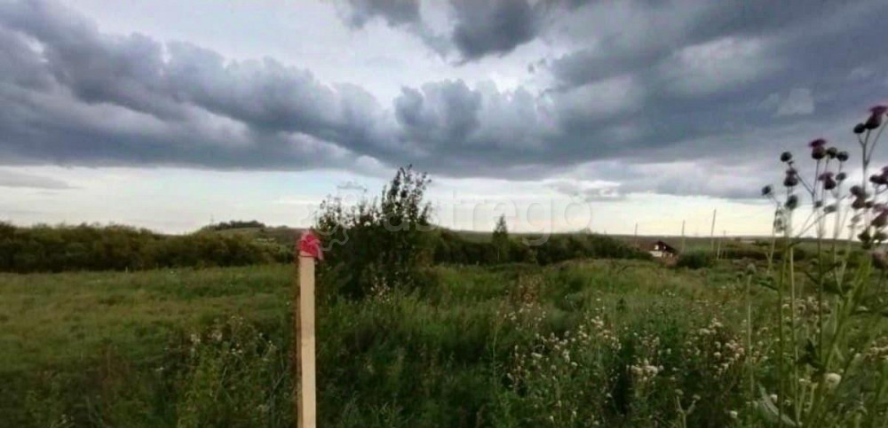 Земельный участок, 10.5 сотки Емельяново - изображение 4