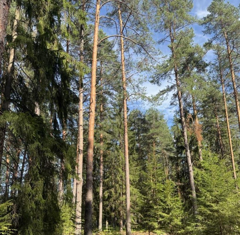 Земельный участок, 50 соток Санкт-Петербург - изображение 2
