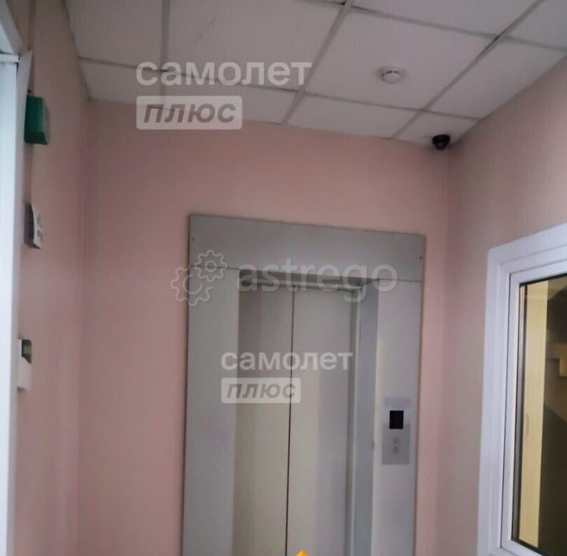 Торговое помещение, 508 м2 Барнаул - изображение 7