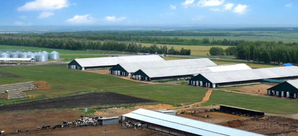 Участок, Промназначения, 970000 сот. Нижний Новгород - изображение 1