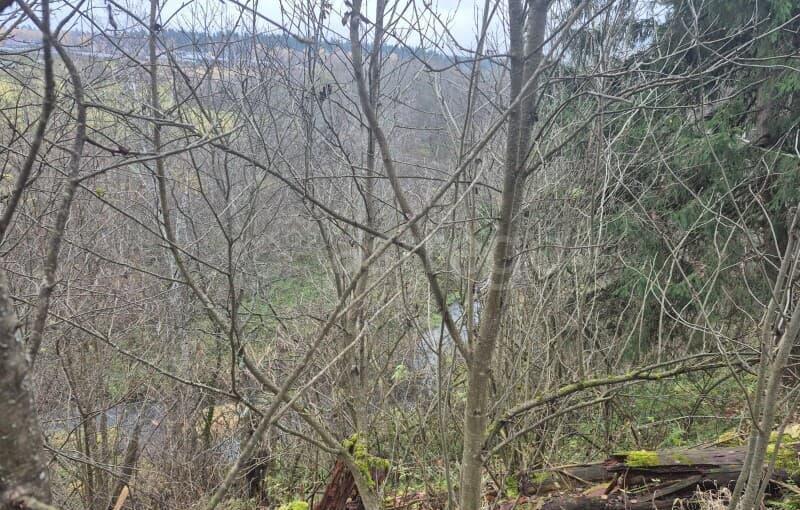 Коммерческий участок, 8.39 га Можайск - изображение 7