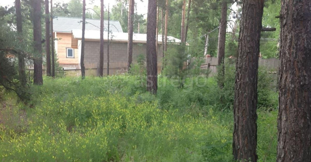 Коттедж, 170 м2, 11 соток, 2 эт. Красноярск - изображение 7