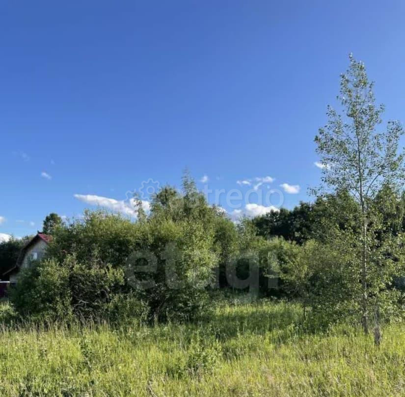 Земельный участок, 10 соток Котлас - изображение 6