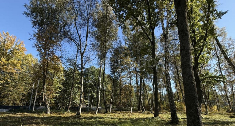 Земельный участок, 9.8 сотки Домодедово - изображение 1