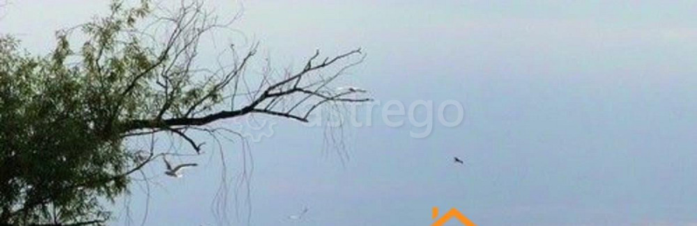 Коммерческий участок, 1.44 га Камень-на-Оби - изображение 1