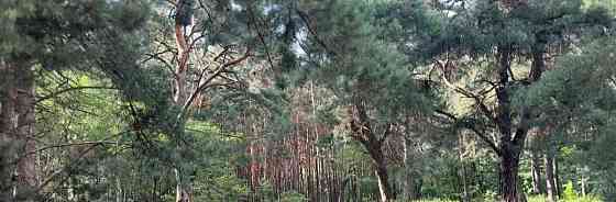 Студия, 38.6 м2, 1/4 эт. Старый Оскол