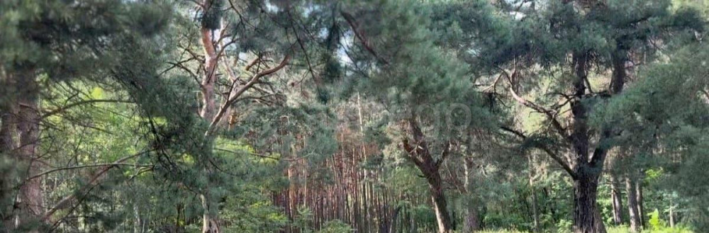 Студия, 38.6 м2, 1/4 эт. Старый Оскол - изображение 3