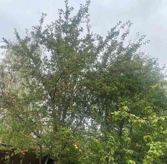 Дом, 204.6 м2, 12 соток, 3 эт. Подольск