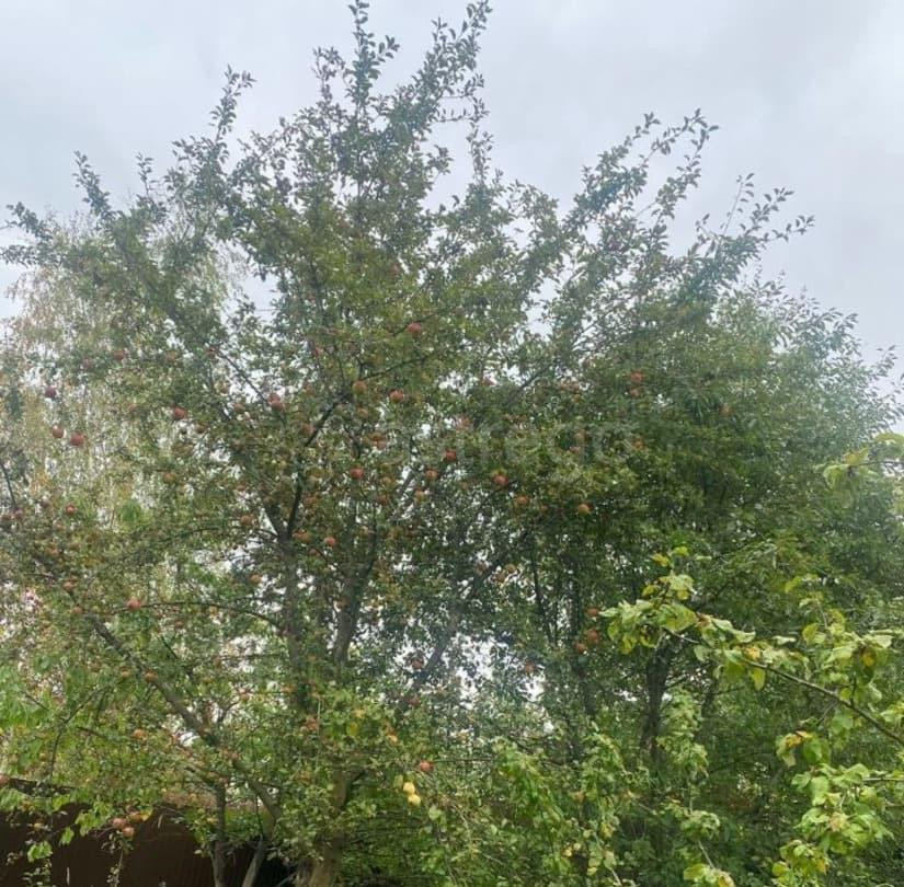 Дом, 204.6 м2, 12 соток, 3 эт. Подольск - изображение 3