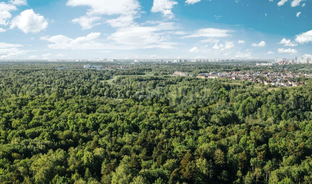 Студия, 22.9 м2, 8/28 эт. Москва - изображение 6
