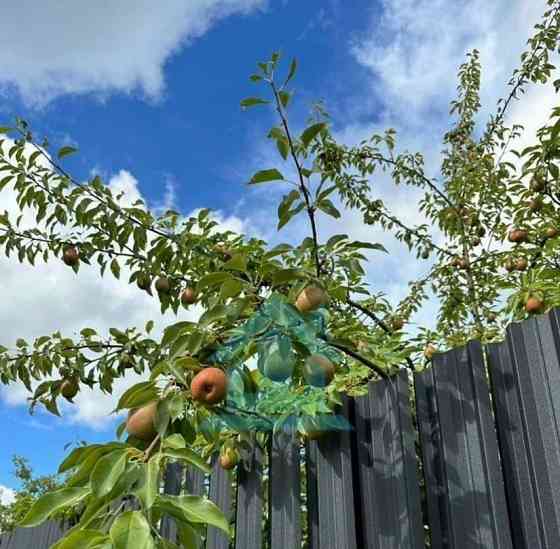 Коттедж, 242 м2, 13 соток, 2 эт. Санкт-Петербург