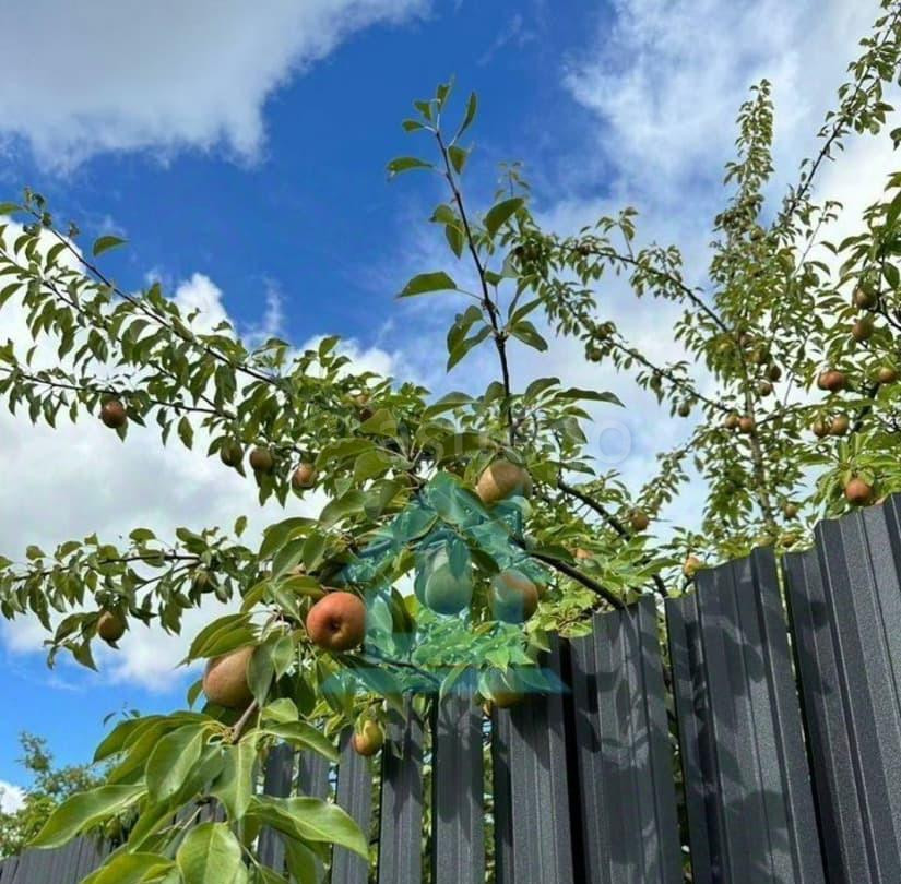 Коттедж, 242 м2, 13 соток, 2 эт. Санкт-Петербург - изображение 5