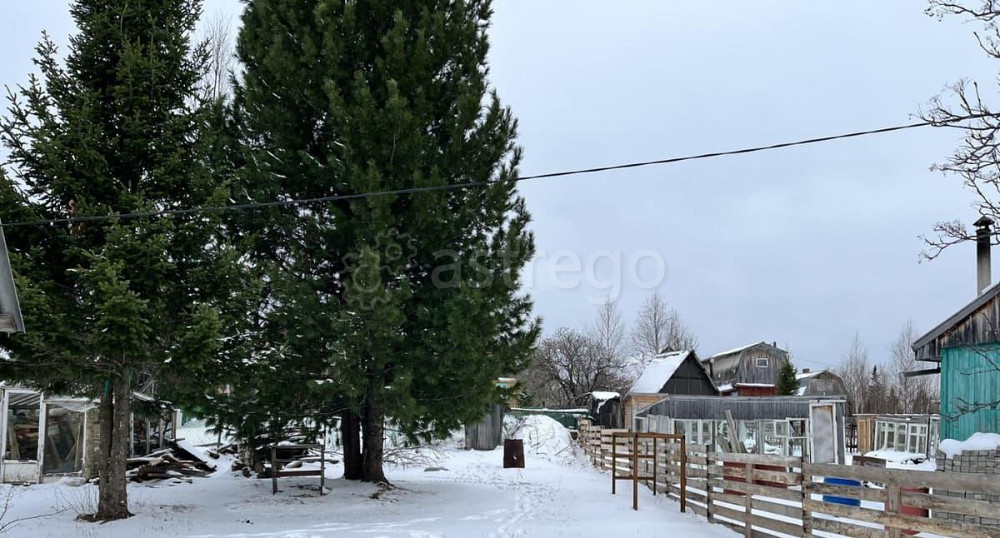 Дом, 15 м2, 3.52 сотки, 1 эт. Емельяново - изображение 6