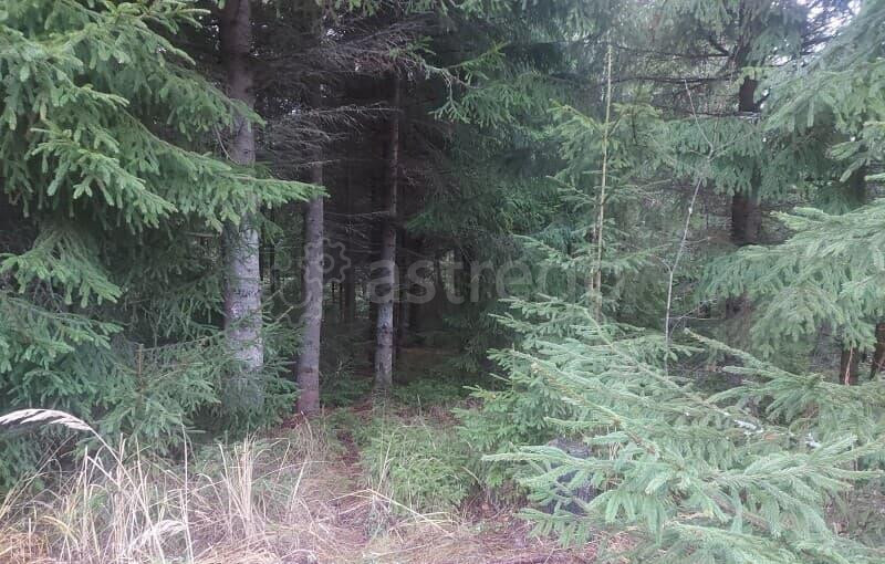 Земля под ИЖС, 15 соток Можайск - изображение 10