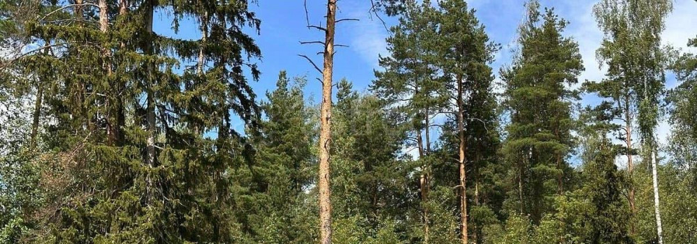 Земельный участок, 9.88 сотки Электроугли - изображение 7