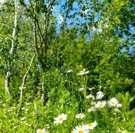 Земельный участок, 10 соток Воскресенск