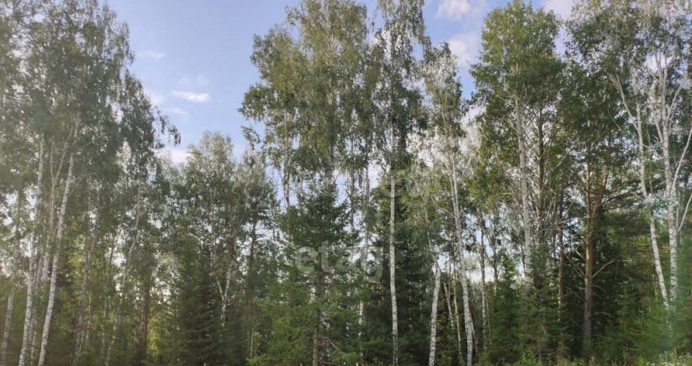 Земельный участок, 18.1 сотки Белокуриха - изображение 3