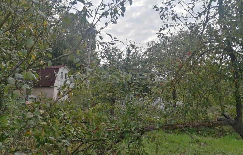 Дача, 28 м2, 3 сотки Воскресенск - изображение 3