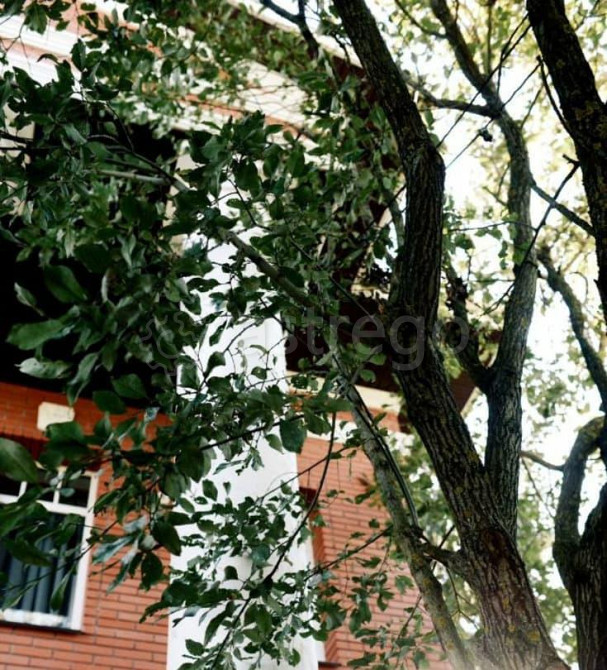 Дом, 238.4 м2, 7.1 сотки, 3 эт. Санкт-Петербург - изображение 5