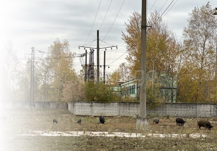 Готовый бизнес, 1200 м2 Воскресенск - изображение 3