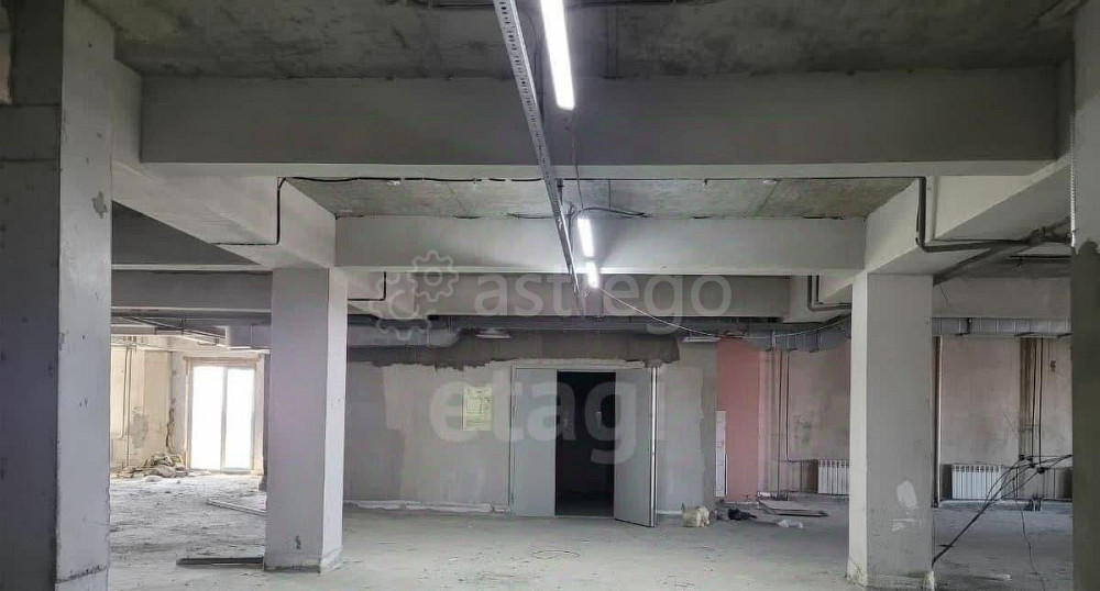 Торговое помещение, 900 м2 Благовещенск - изображение 3