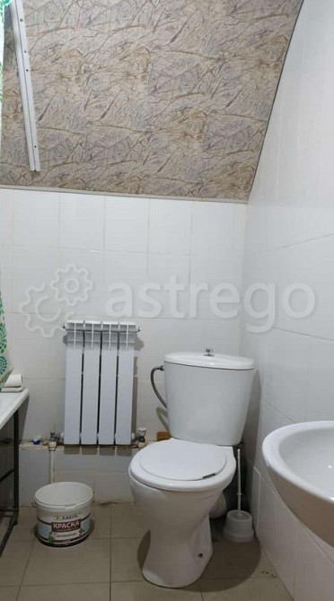 Дом, 30 м2, 5 соток, 2 эт. Разумное - изображение 6