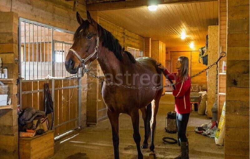 Земля с/х назначения, 0.8 га Зеленоград - изображение 2