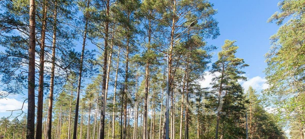 Земельный участок, 20 соток Санкт-Петербург - изображение 7