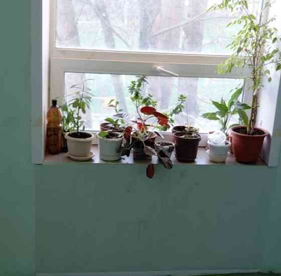 3-комн. квартира, 60 м2, 4/5 эт. Подольск