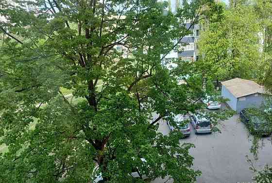 3-комн. квартира, 59.76 м2, 4/9 эт. Старый Оскол