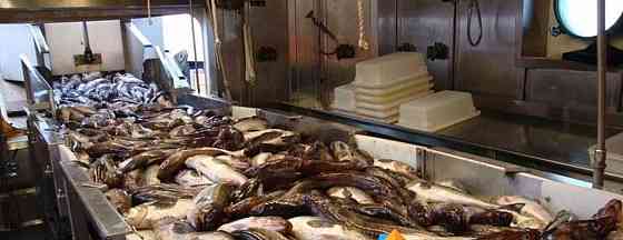 Готовый бизнес, 400 м2 Балашиха