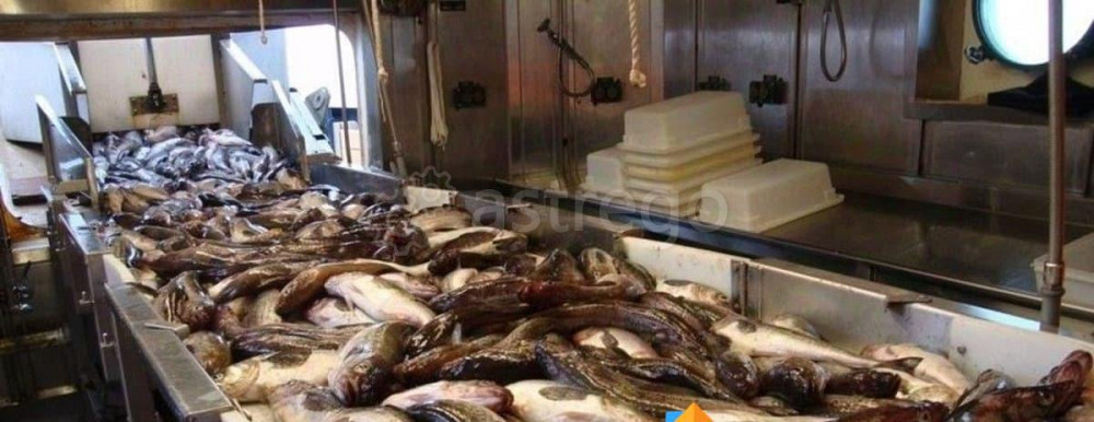 Готовый бизнес, 400 м2 Балашиха - изображение 1