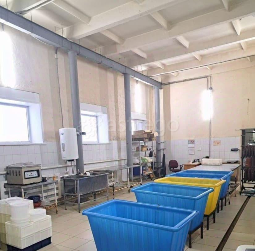 Производственное, 680 м2 Горно-Алтайск - изображение 3