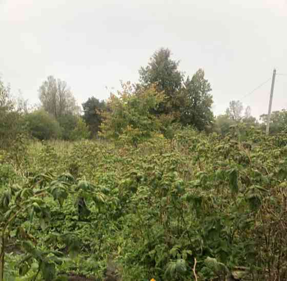 Дом, 114.5 м2, 18.35 га, 2 эт. Санкт-Петербург
